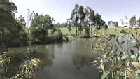 scene from the property